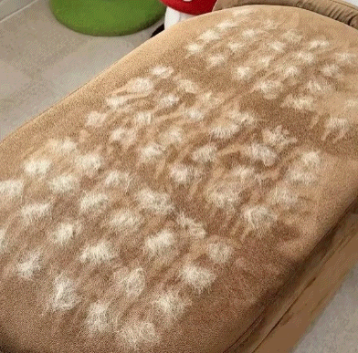 Final 3 Hours:🐾Pet Hair Removal Gloves – Remove Fur in Seconds for a Cleaner Home✨