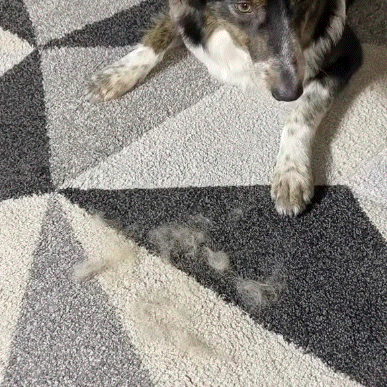 Final 3 Hours:🐾Pet Hair Removal Gloves – Remove Fur in Seconds for a Cleaner Home✨